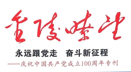 点赞！江苏叁拾叁荣登中央南京市委机关刊物《金陵瞭望》!