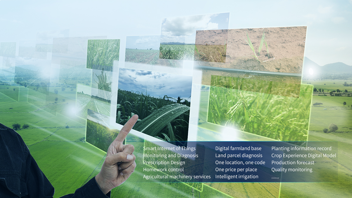 Unmanned field management platform