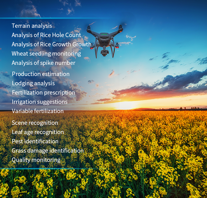 Unmanned Aerial Vehicle Remote Sensing Monitoring Decision System