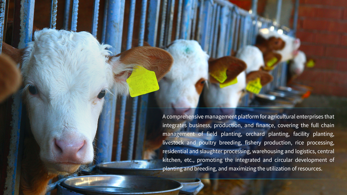 Integrated management platform for breeding and animal husbandry