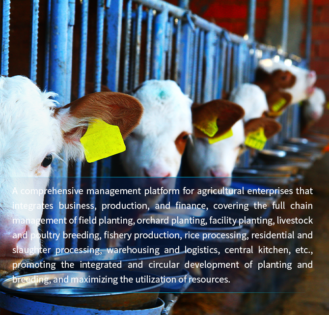 Integrated management platform for breeding and animal husbandry