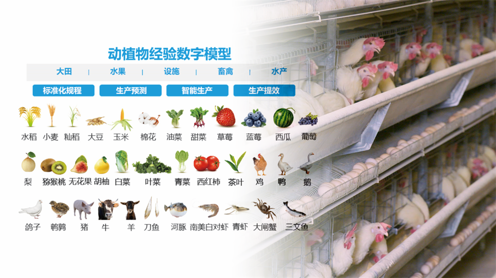 江苏叁拾叁产品-农业产业模型1