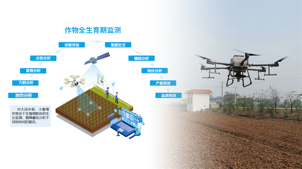 江苏叁拾叁产品-农业产业模型2