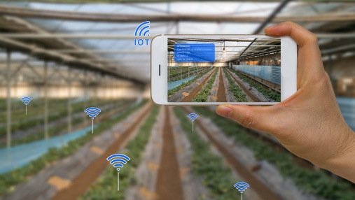 Jiangsu Three&Three builds a socialized service platform to lead the development of modern agriculture