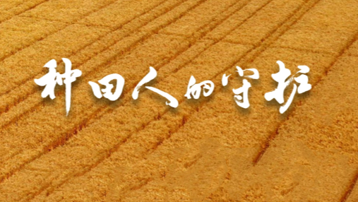 Protecting Farmers |Jiangsu Three&Three Helps Jiangsu Agricultural Reclamation Build an Agricultural Socialized Service Platform