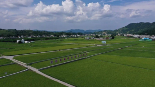 How can farmland be smart?