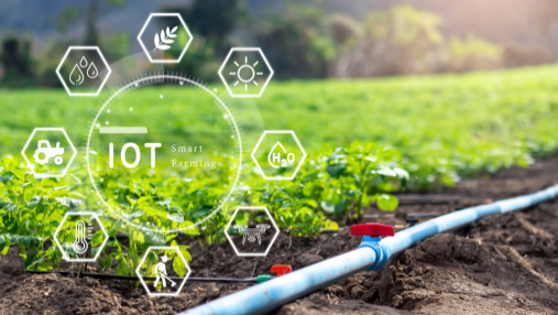 Building an agricultural and rural big data platform to effectively support the construction of an agricultural powerhouse and rural revitalization
