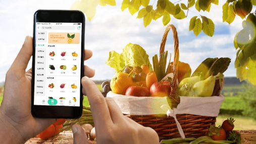 How to leverage e-commerce platforms and expand sales channels for agricultural products?
