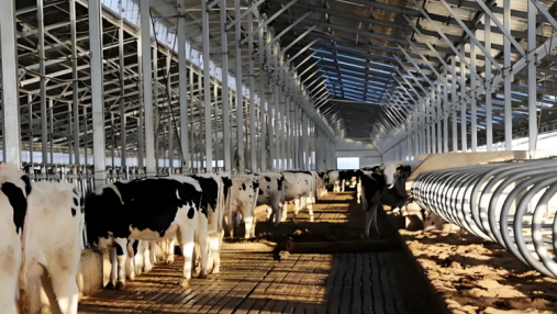 What should be done for unmanned livestock and poultry farming?