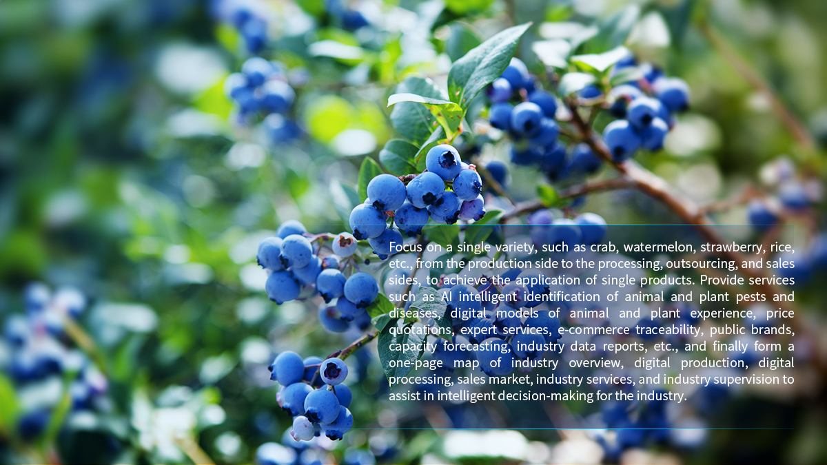 Single product full industry chain big data platform