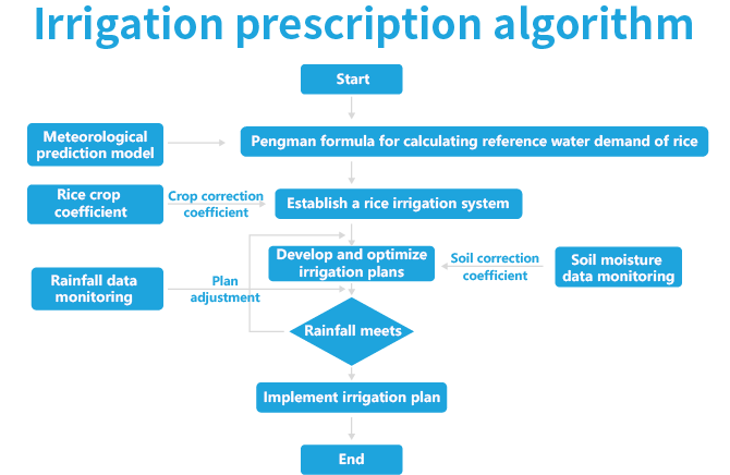 Irrigation prescription algorithm