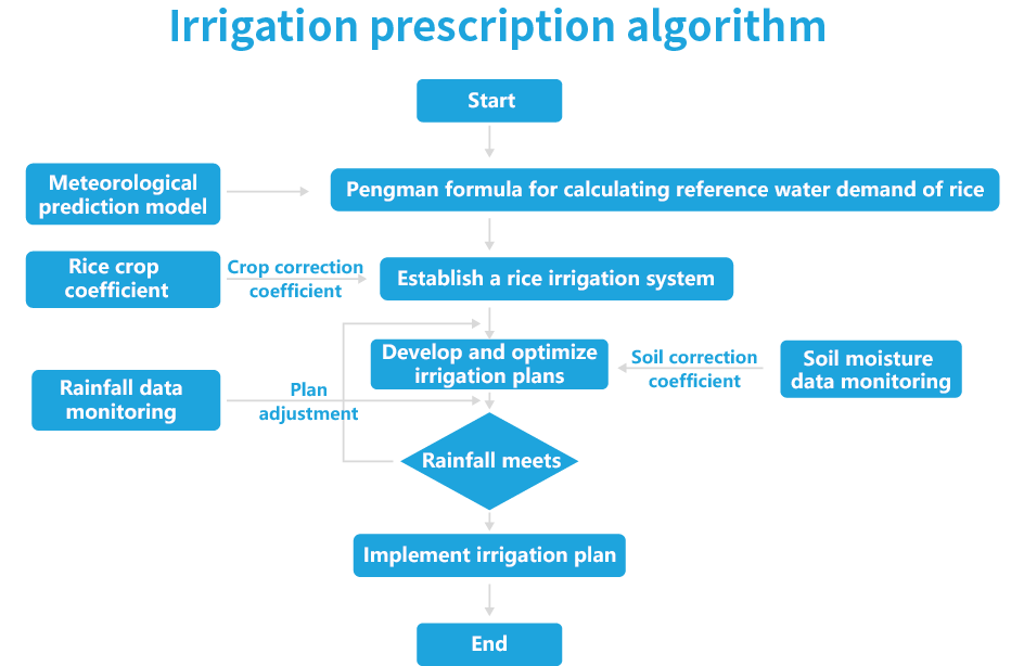 Irrigation prescription algorithm