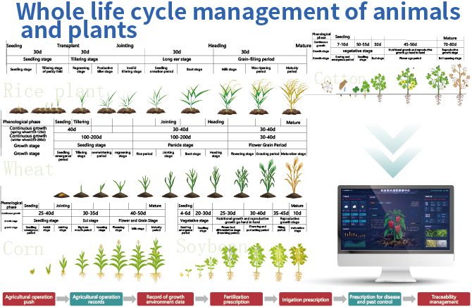 Whole life cycle management of animals and plants