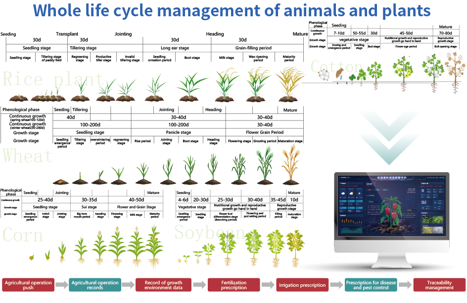 Whole life cycle management of animals and plants