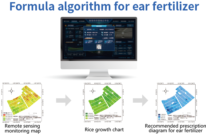 Formula algorithm for ear fertilizer