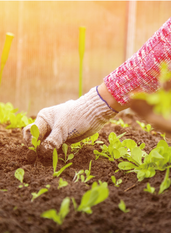 综合农事应用在种植户