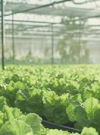 Leading enterprises-Integrated Agricultural Service Center Solution