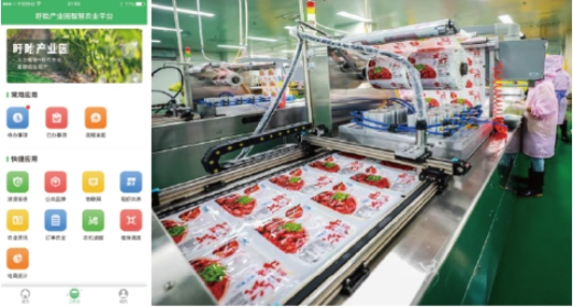 Xuyi Modern Security Industry Park Big Data Center