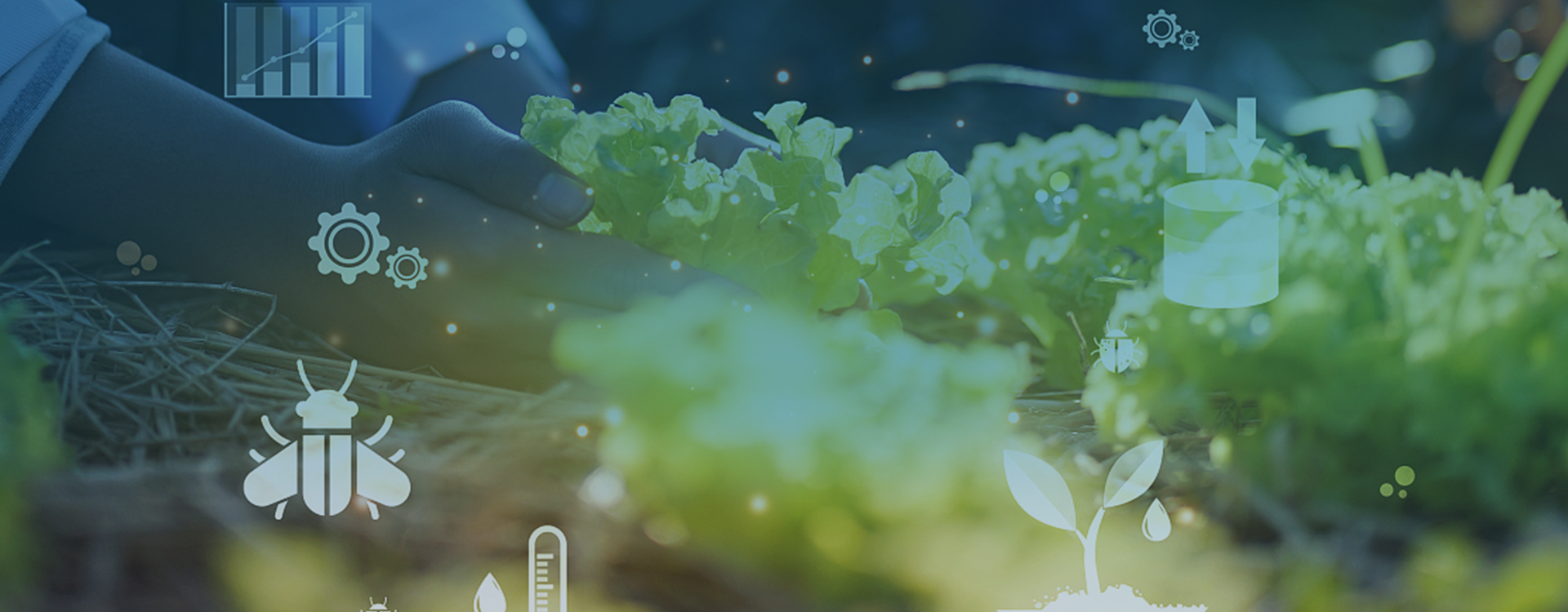 综合农事服务中心解决方案banner