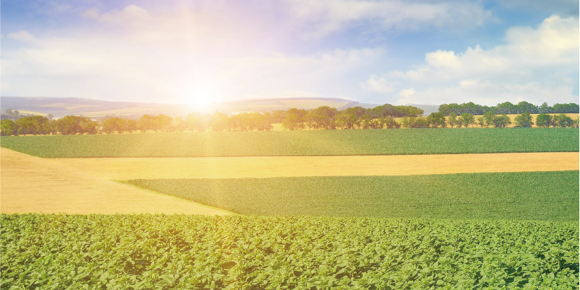 江苏省东海县社会化服务平台