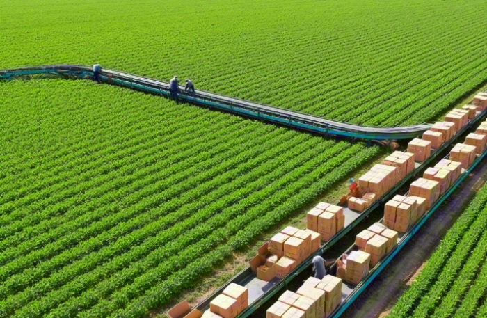 Jiangsu Three&three Single Product Full Industry Chain Big Data Solution1