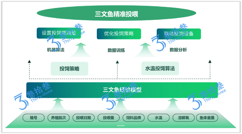 Jiangsu Three&three Salmon Variable Feeding Model