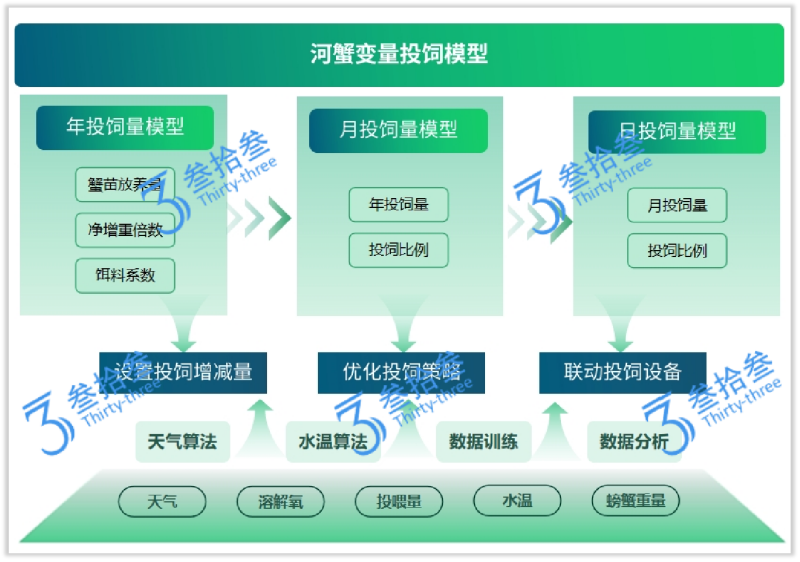 江苏叁拾叁河蟹变量投饲模型