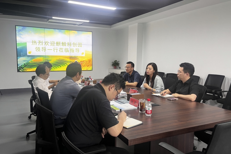 麒麟科创园管委会主任樊向前一行莅临江苏叁拾叁参观指导4
