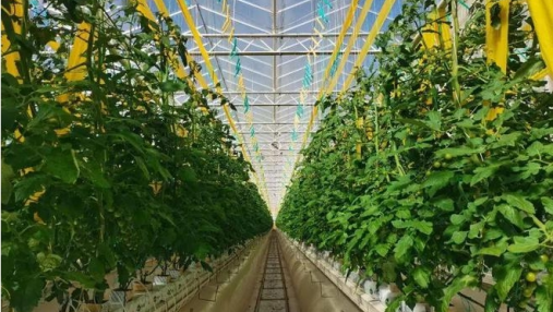 What is the key to unmanned facility agriculture?