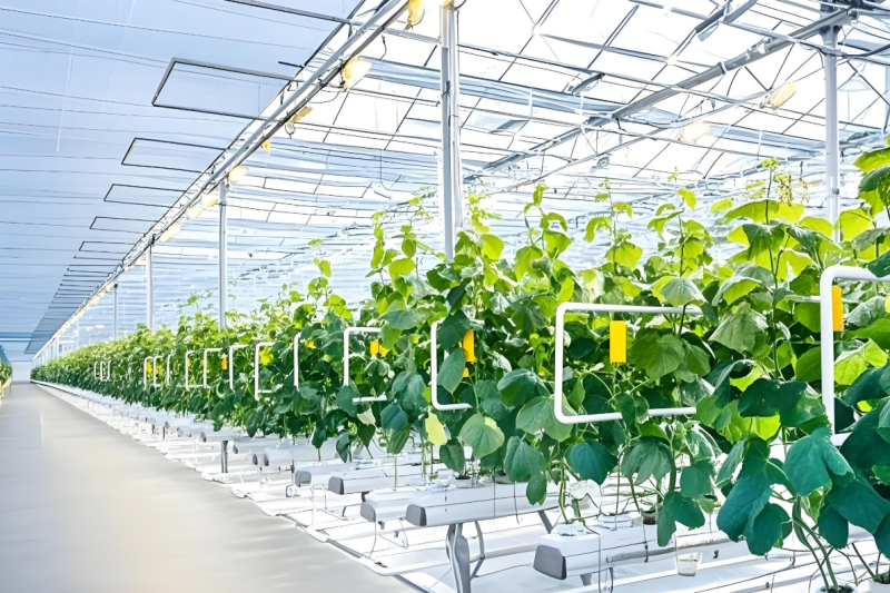 江苏叁拾叁无人设施解决方案1