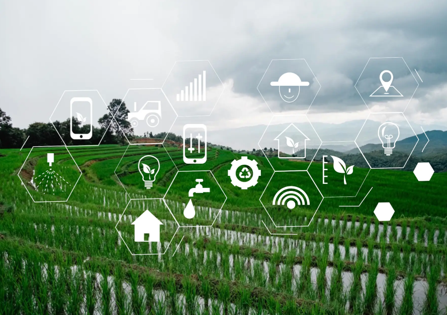 江苏叁拾叁智慧精准农业2