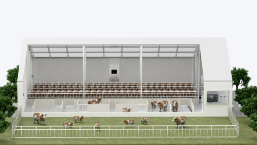 智慧畜禽建设