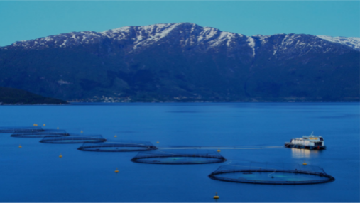 智慧水产养殖监测