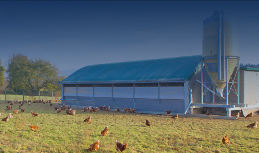 江苏叁拾叁智慧畜禽建设方案2