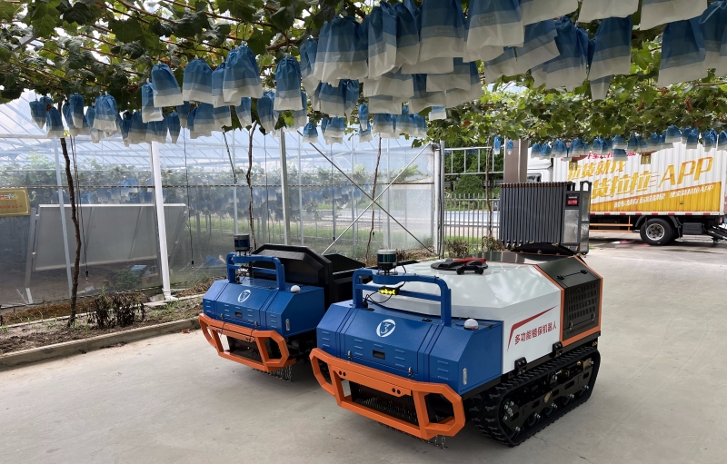 农业设施智能化改造2