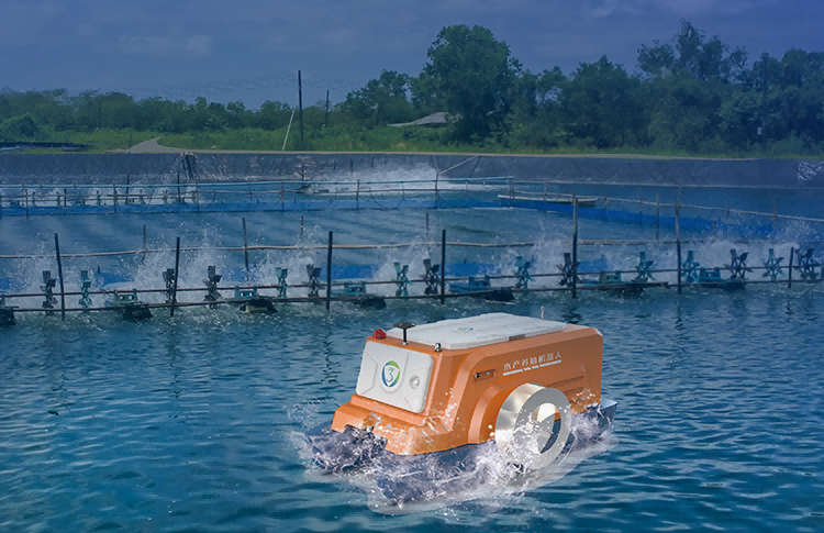 Reshaping the New Advantages of 'Chinese Intelligent Manufacturing'