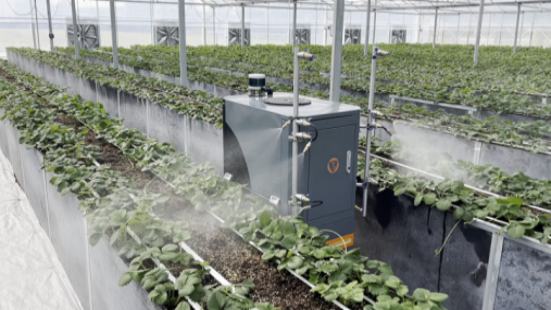 农业设施智能化改造