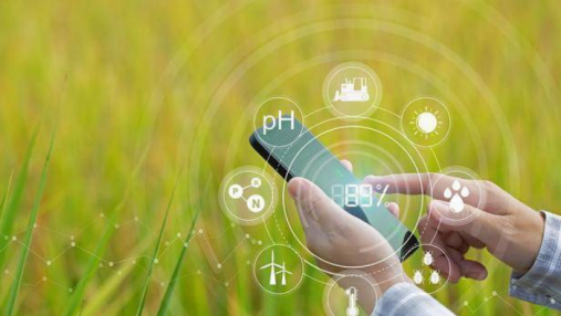  智慧农业智能决策支持