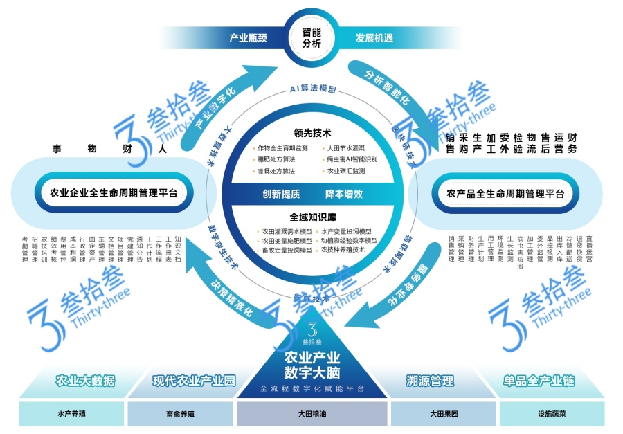 江苏叁拾叁农业产业数字大脑