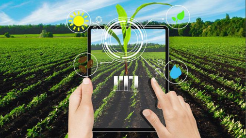 智慧农业设施农业优化方案介绍