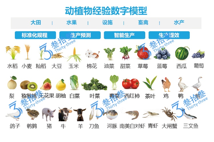 江苏叁拾叁动植物经验模型