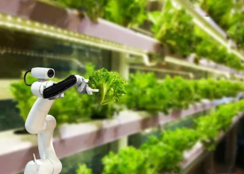 江苏叁拾叁农业生产效率提升1