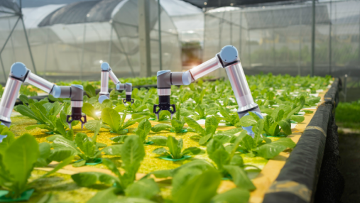 智慧农业运营商公司哪家好？