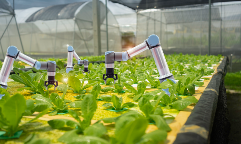 江苏叁拾叁农业生产效率提升