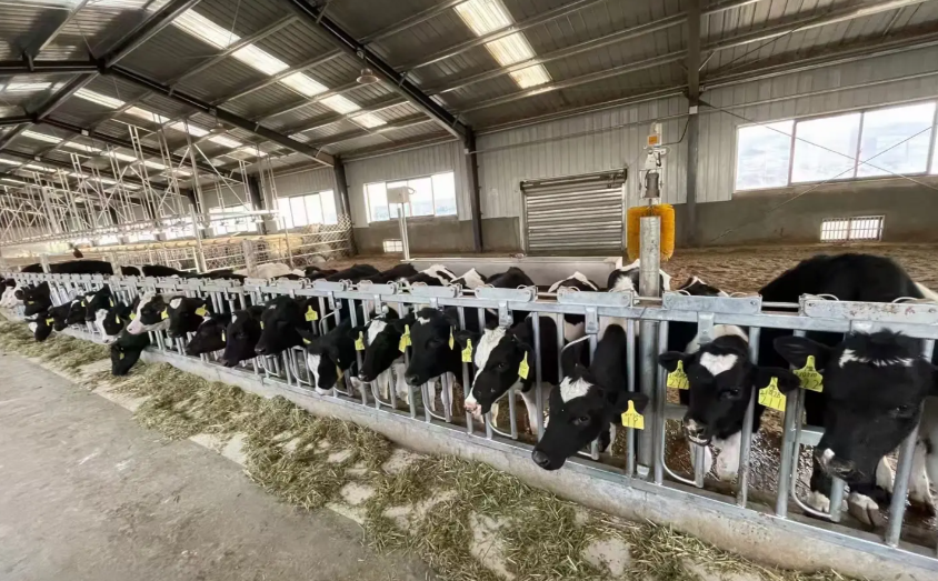 江苏叁拾叁智慧畜禽建设方案2