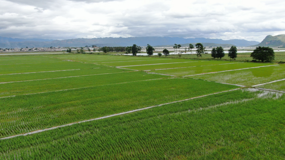 江苏叁拾叁智慧农场建设方案