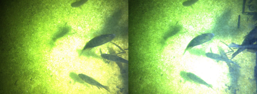 江苏叁拾叁智慧水产养殖监测解决方案2