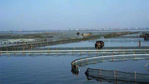 智慧水产养殖监测解决方案