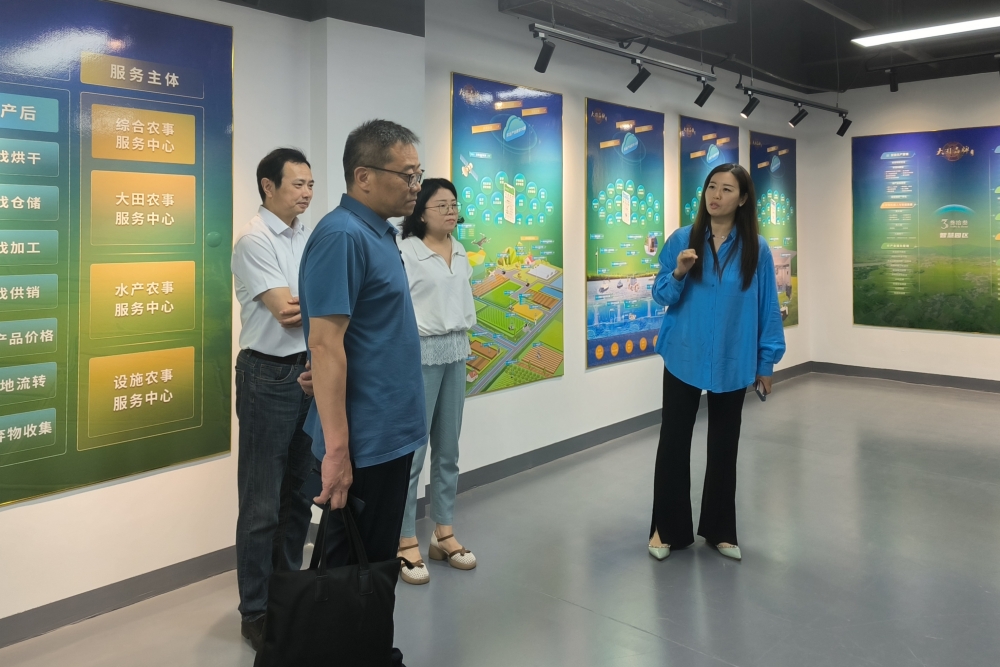 南京市江宁区农业农村局局长吕金明一行莅临江苏叁拾叁考察交流1