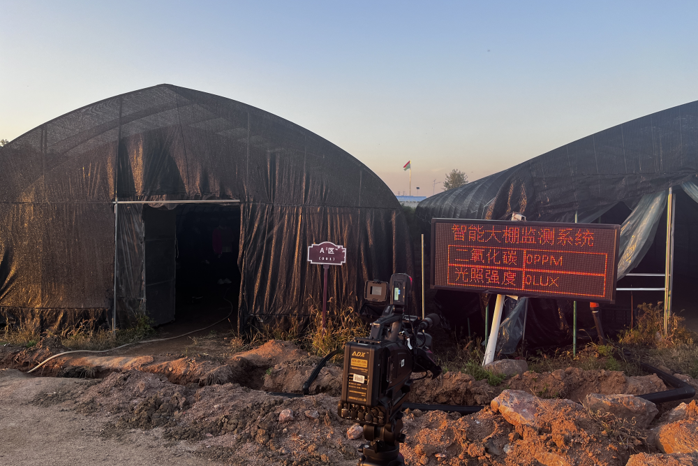 江苏叁拾叁智慧农业物联网解决方案